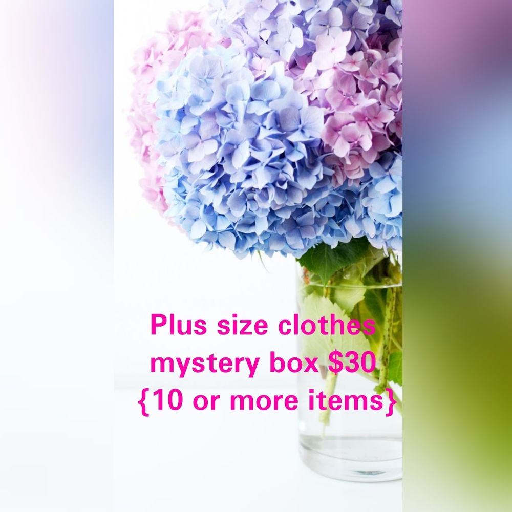 Plus Size Clothes - image 1